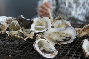 海の味、濃いっ！