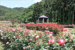 東屋があったりします