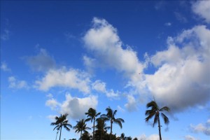 飛行機がチョッピリ写ってるのわかるかしら？