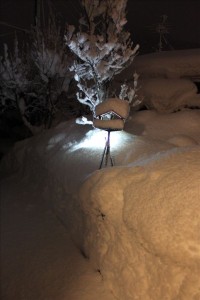 庭の電灯が埋まりました・・・ﾁ~~ﾝ（´。＿。｀）ゞぅぅぅ…