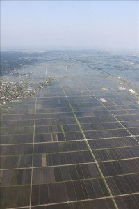 成田空港近くの田んぼ