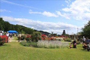 村山市の東沢バラ公園