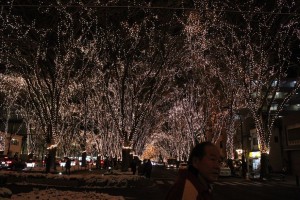 雪がちらついていたけど・・・