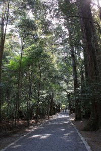 瀧原宮神社の参道が渋いぜ！